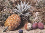 John Sherrin A Pineapple,a Peach and Plums on a mossy Bank (mk37) Sweden oil painting reproduction